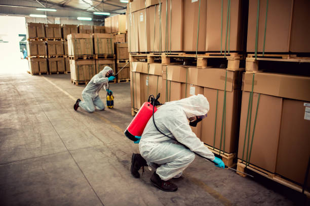 Professional Pest Control in Muskegon Heights, MI