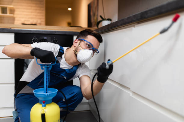 Best Emergency Pest Control  in Muskegon Heights, MI