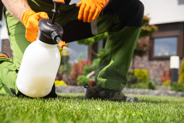 Best Rat Extermination Near Me  in Muskegon Heights, MI