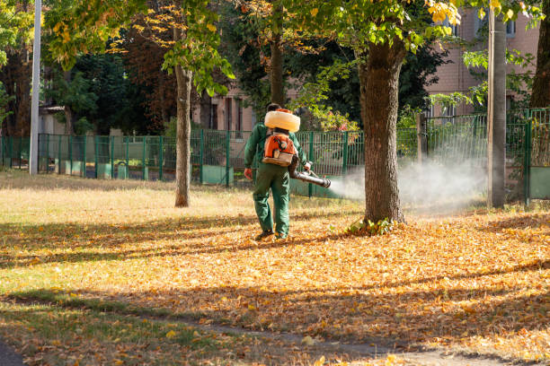Best Commercial Pest Control Services  in Muskegon Heights, MI