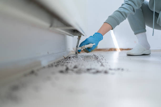 Best Flea Control Services  in Muskegon Heights, MI