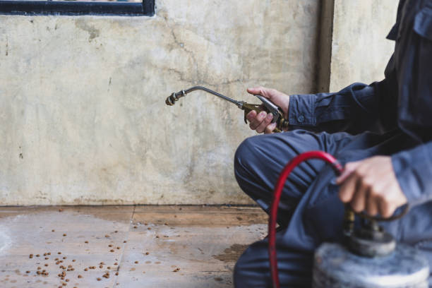 Best Pest Removal Services  in Muskegon Heights, MI